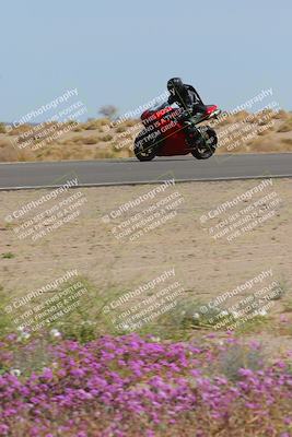 media/Mar-12-2023-SoCal Trackdays (Sun) [[d4c8249724]]/Turn 15 Inside Bloom (130pm)/